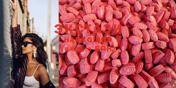 ECSTASY Белокуриха