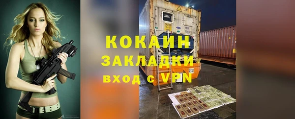 шишки Богородицк