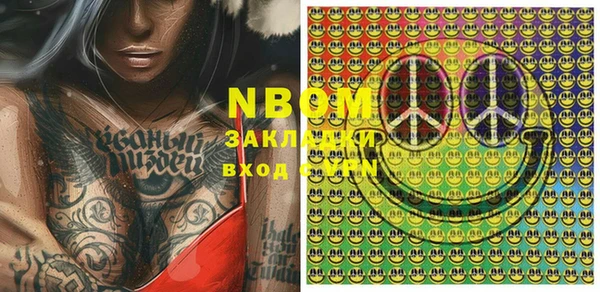 шишки Богородицк