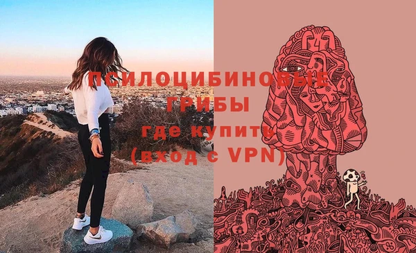 ECSTASY Белокуриха