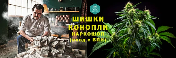 ECSTASY Белокуриха