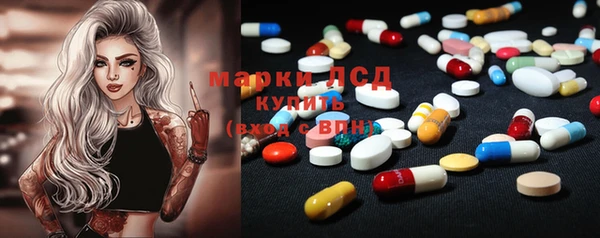 ECSTASY Белокуриха