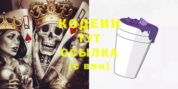 шишки Богородицк