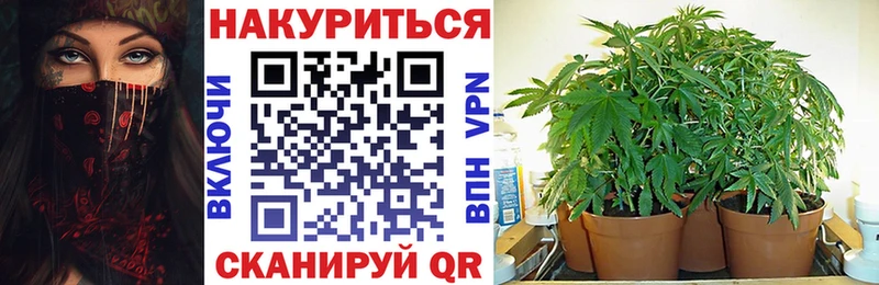 Бошки марихуана тримм  Елабуга 